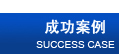 成功案例